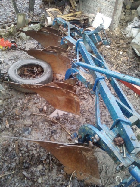 Eke 4 fejes Vogel noot