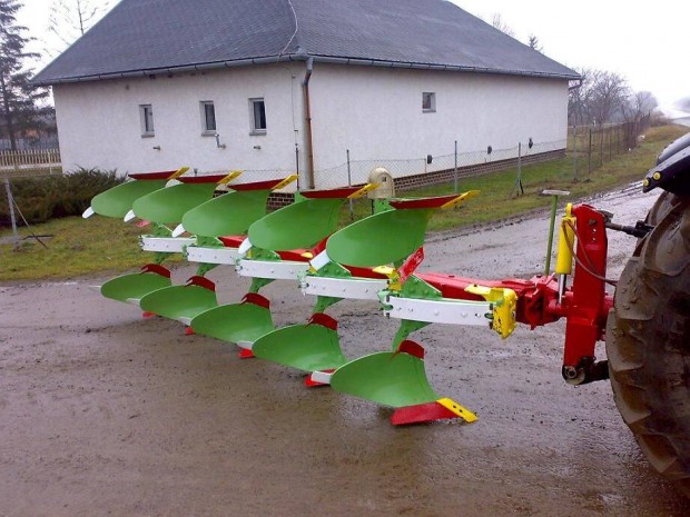 Eke Vogelnoot 5x5 Nonstop