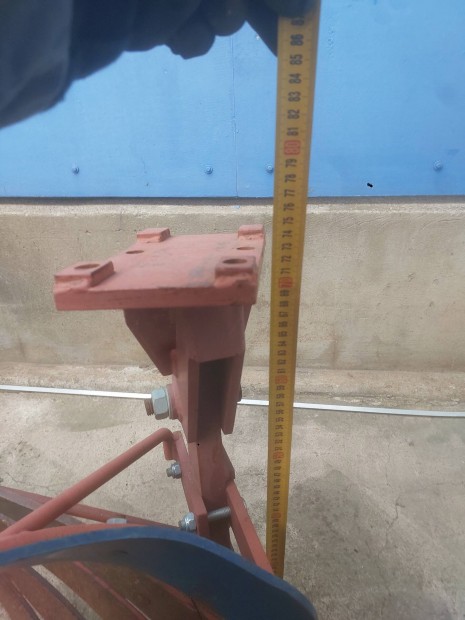 Eke,ekefej,r�selt eke,Vogel noot