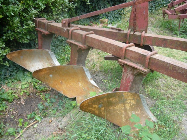 Eke sz�nt�s h�rom tag fej