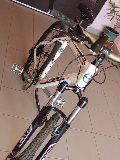 Elad Benelli Mountain Bike 