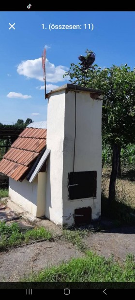 Eladnám vagy elcserélném szőlőskertemet