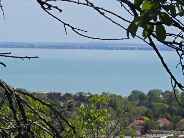 Elad� 0.00 nm-es �p�t�si telek Als��rs