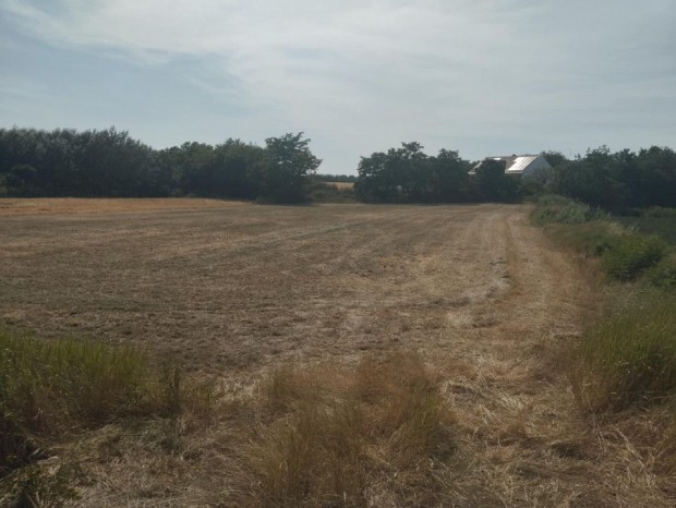 Elad� 0.00 nm-es �p�t�si telek Mak�