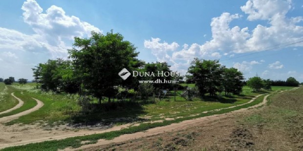 Elad� 10000 nm-es telek F�t