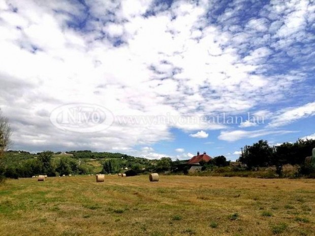 Elad� 100 nm-es Egy�b P�csely