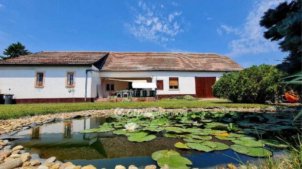 Elad 100 nm-es jszer llapot Csaldi hz Kiskrs Kzpontban