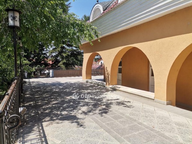 Elad� 1087 nm-es panzi� Gyula