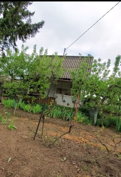 Elad� 10 nm-es Fel�j�tand� H�tv�gi h�z Duna�jv�ros