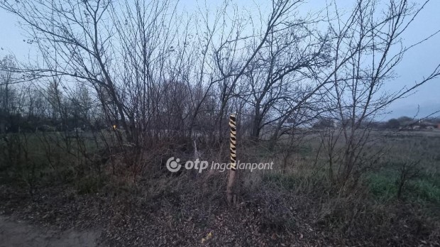 Elad� 1108 nm-es telek Albertirsa