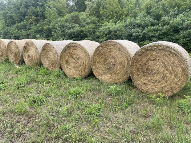 Eladó 120 db füves lucerna körbála