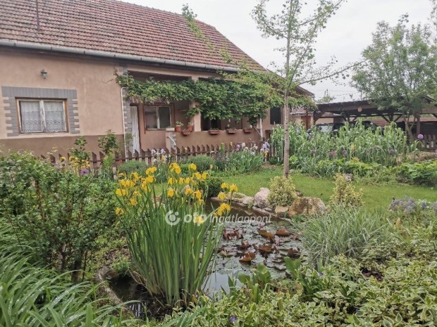 Elad� 121 nm-es h�z Vecs�s