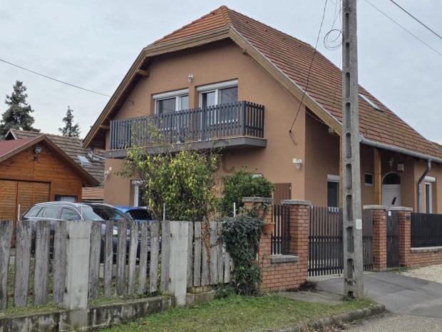 Elad� 130 nm-es h�z P�cel