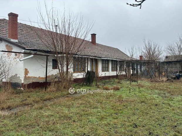 Elad� 135 nm-es h�z Kardos