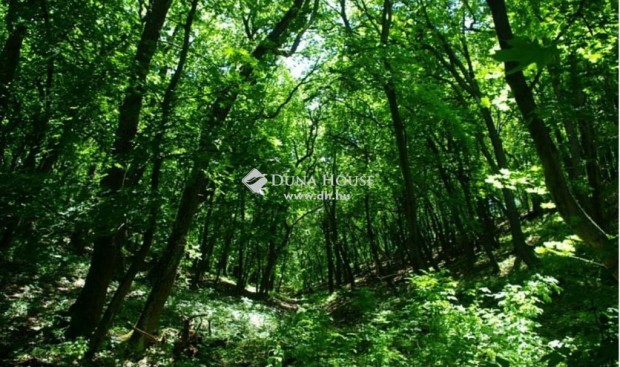 Elad� 14352 nm-es telek Regenye