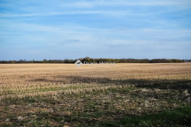 Elad� 145868 nm-es telek Szabadh�dv�g