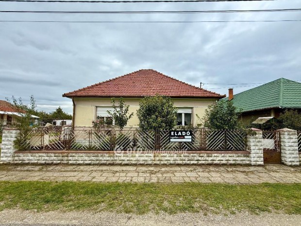 Elad� 150 nm-es h�z Saj�petri