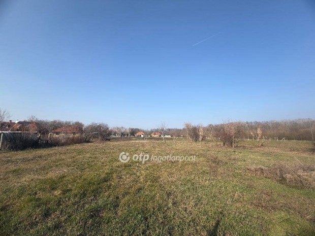 Elad� 1525 nm-es telek Gyula