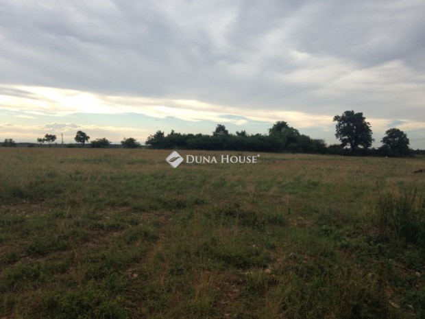 Elad� 15 hekt�r telek villany bevezetve, v�z a k�zelben SZ�C