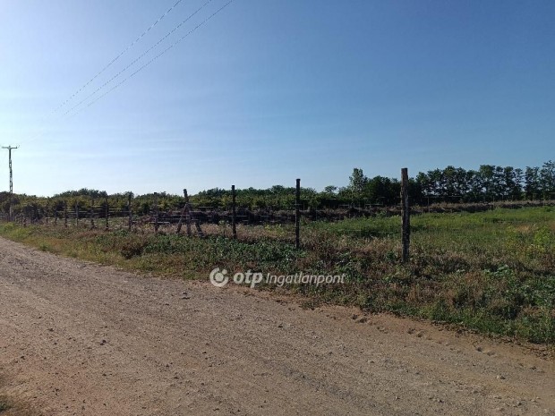 Elad� 16000 nm-es telek Ny�regyh�za