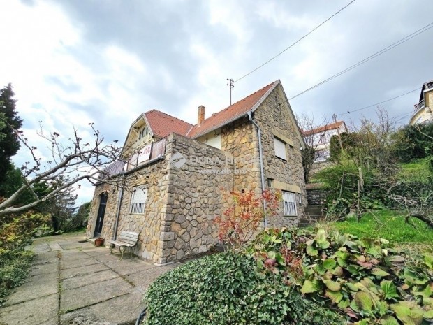 Elad� 163 nm-es h�z P�cs