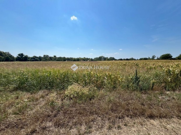 Elad� 1751 nm-es telek P�tka