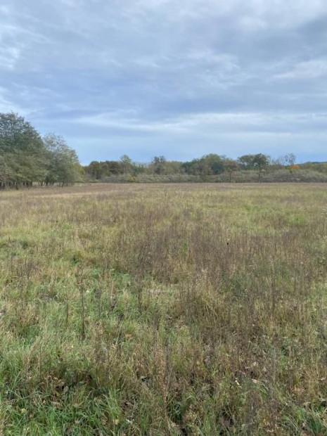 Elad� 1816 nm-es telek Ipolysz�g