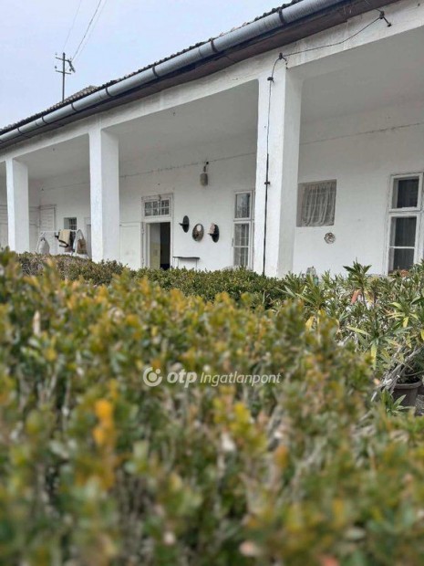 Elad� 186 nm-es h�z Dunapataj