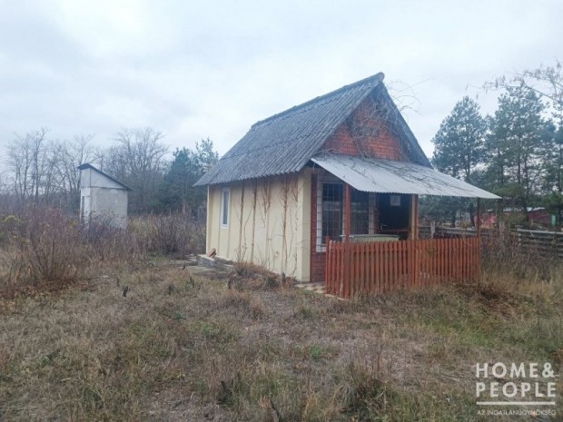 Elad� 18 nm-es Z�rtkert Bord�ny