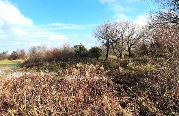 Elad� 19443 nm-es telek T�s