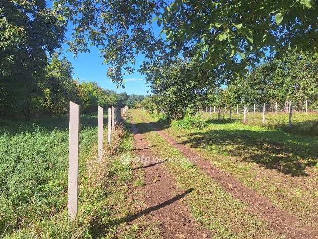 Elad� 1966 nm-es telek Tiszaf�red