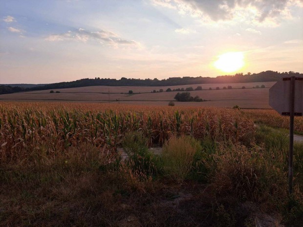 Elad 1,158 ha szntfld Zselicszentplon