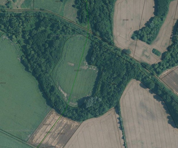 Elad� 1/1-es, 3,5 hekt�ros sz�nt� Nemesbikken