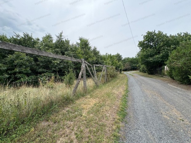 Eladó 1,62 hektár erdő részt Uzsa kül és belterület határán!