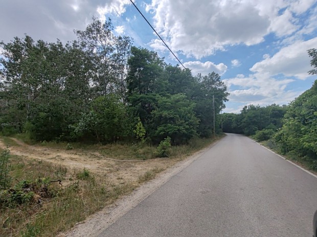 Eladó 1.90 ha erdő, Csongrád