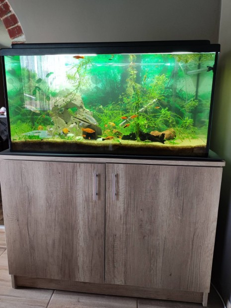 Elad 200 l akvrium