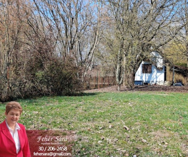 Elad� 20 nm-es Egy�b Tiszaug