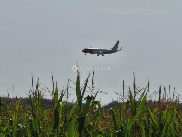 Elad� 21433 nm-es telek Vecs�s