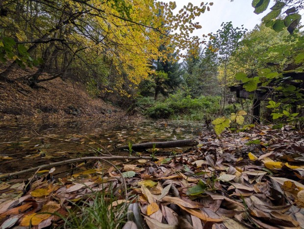 Elad� 2196 m-es �p�t�sitelek K�szegen, remek lehet�s�gekkel!