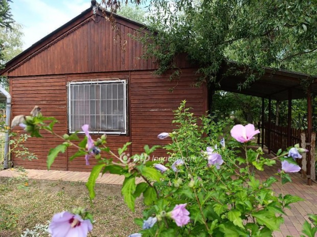 Elad� 22 nm-es h�z Gyula