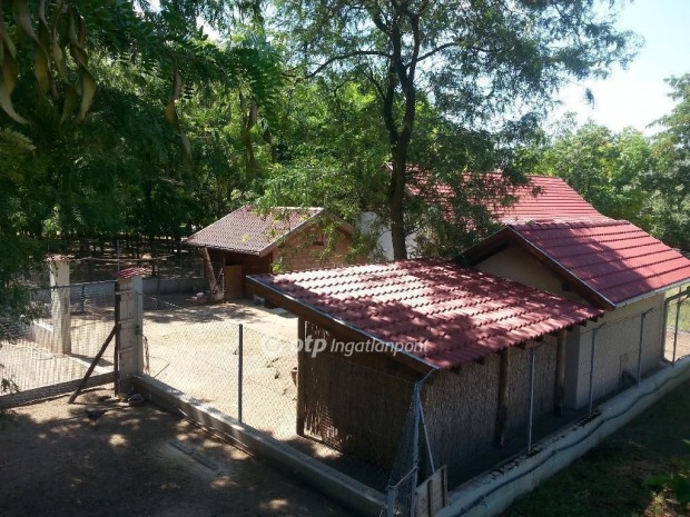 Elad� 230 nm-es h�z Bugyi