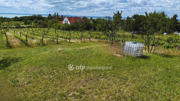 Elad� 2419 nm-es telek Fels��rs