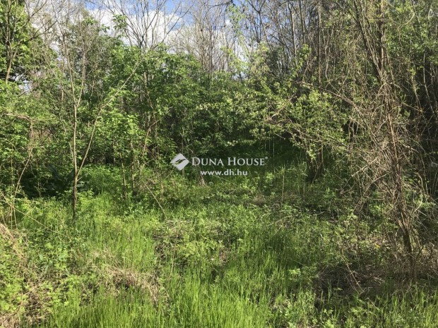 Elad� 2446 nm-es telek P�zm�ndfalu