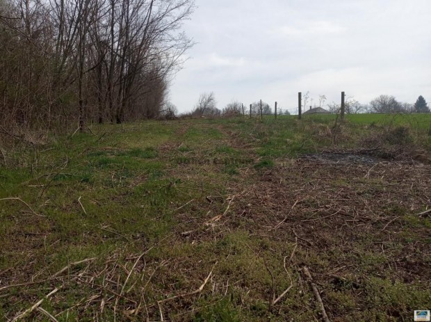 Elad� 2447 nm-es telek Nagybak�nak