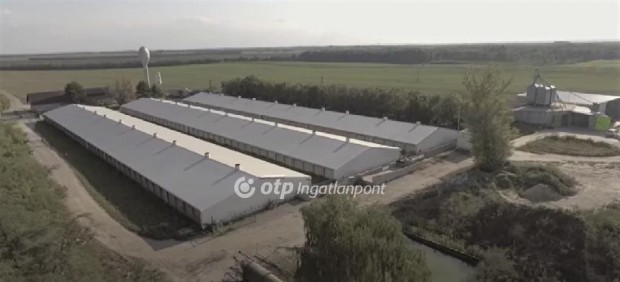 Eladó 24581 nm-es Szántóföld, legelő Nagylók Külterület