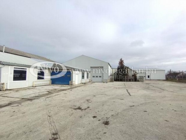 Elad� 2494 nm-es Telephely �si