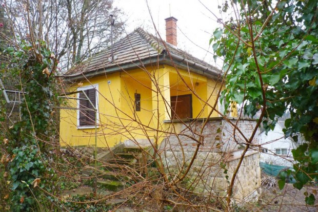 Elad� 25 nm-es Fel�j�tand� �d�l�, nyaral� Miskolc