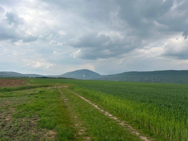 Elado 2600nm telek Pilisvorosvar panorama