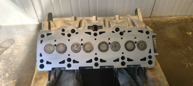 Elad 2.0 pdtdi 8v BMM hengerfej 