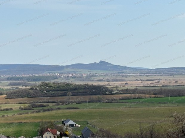 Elad� 3000 m2 be�p�thet� z�rtkert Mindszentk�ll�n!